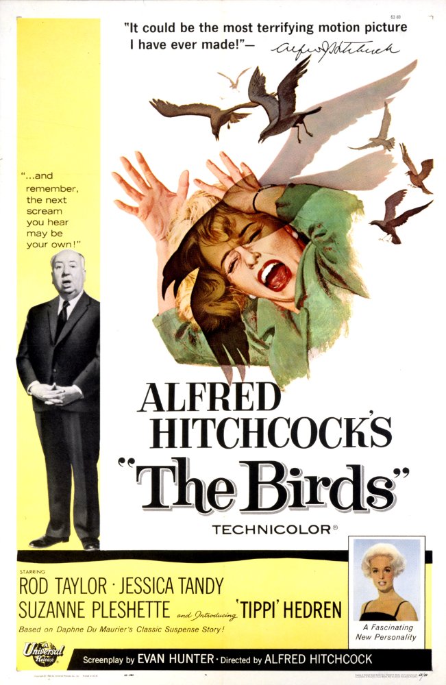 [EXTRA] La Natura secondo Hitchcock