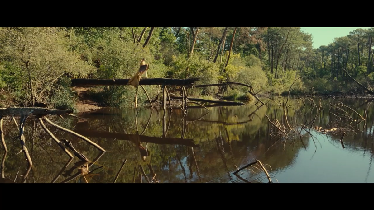 The Animal Kingdom: due nuove clip dal fantasy francese