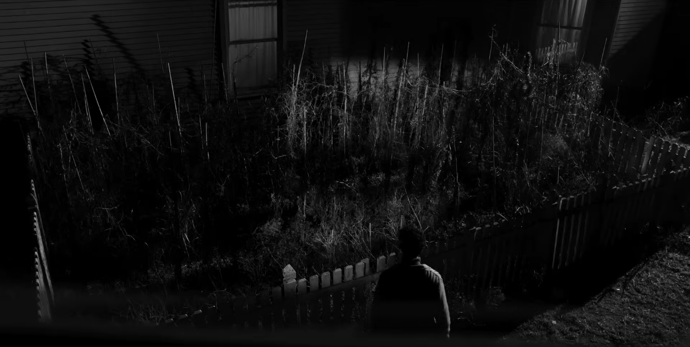 L’orto americano: il nuovo horror di Avati da oggi nelle sale